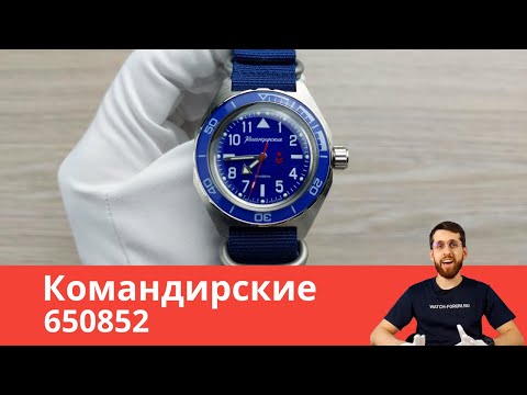 Синие Командирские / Восток 650852