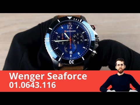 Доступный швейцарский кварц / Wenger Seaforce 01.0643.116